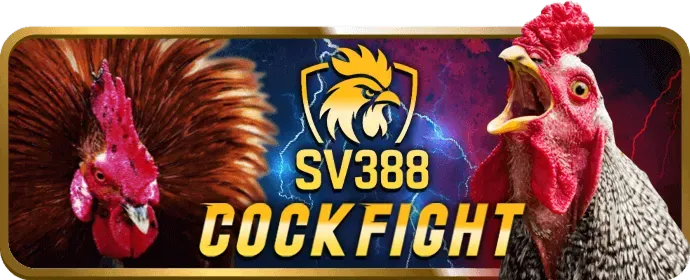 Cách X8BET thu thập thông tin người dùng để cải thiện dịch vụ